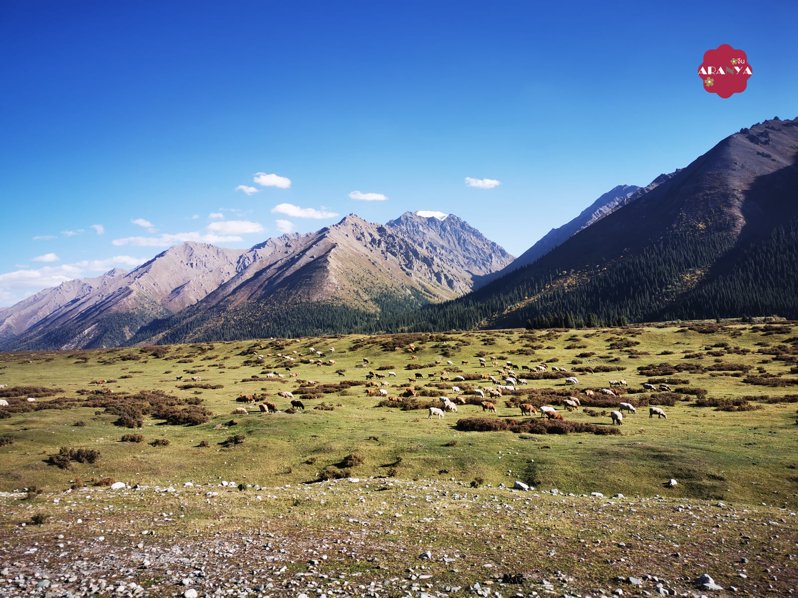 แกลเรอรีร้อยลี้ตามทางหลวงตู๋คู่ ขุยถุน ซินเจียง