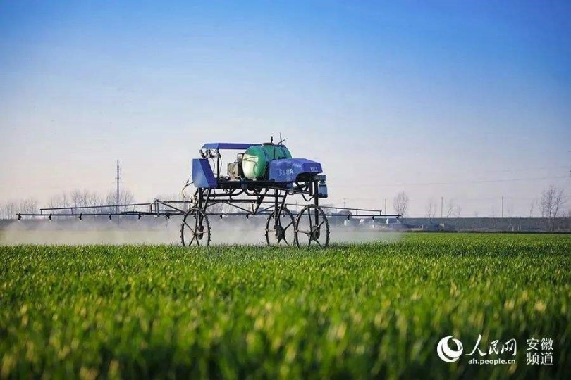 สัมผัสความงามของตัวเลขในการทำนา