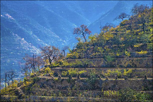 จีนมีมรดกวัฒนธรรมด้านการเกษตรสำคัญระดับโลกเพิ่มขึ้น 18 รายการ ครองอันดับ 1 ของโลก