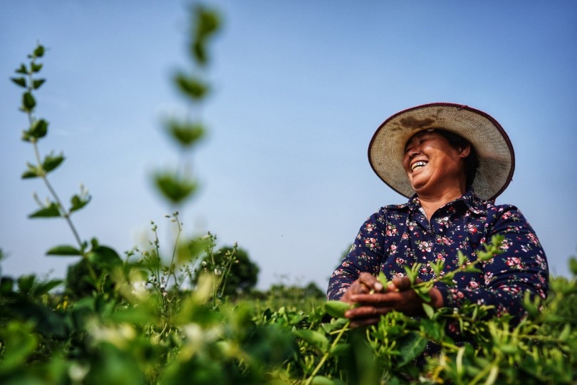 ความมั่งคั่งร่วมคืออะไร