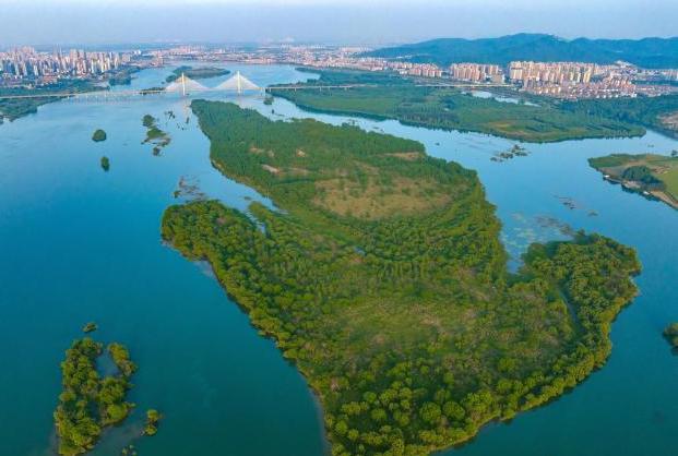 พื้นที่ชุ่มน้ำเมืองเซียงหยาง มณฑลหูเป่ย