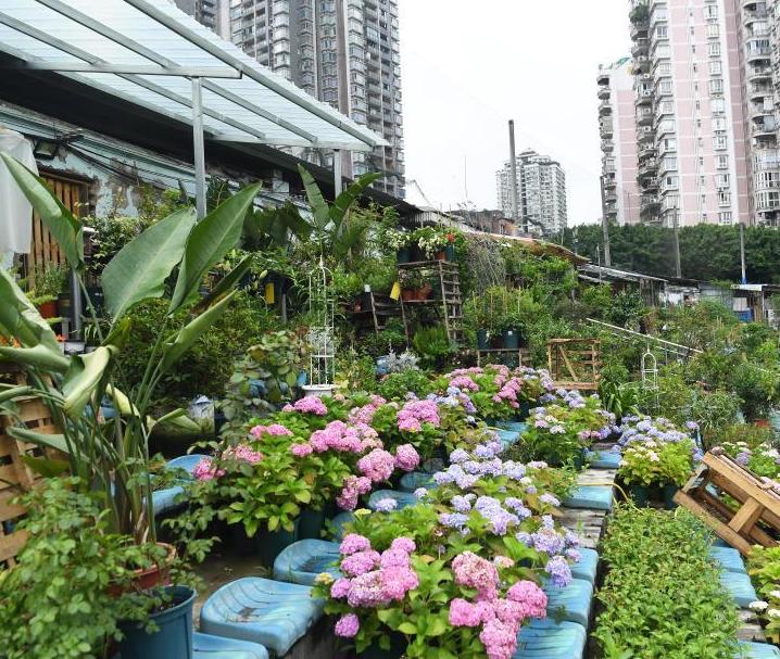 สนามกีฬาหยางเหอนครฉงชิ่งซบเซา