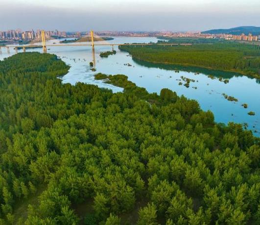 พื้นที่ชุ่มน้ำเมืองเซียงหยาง มณฑลหูเป่ย