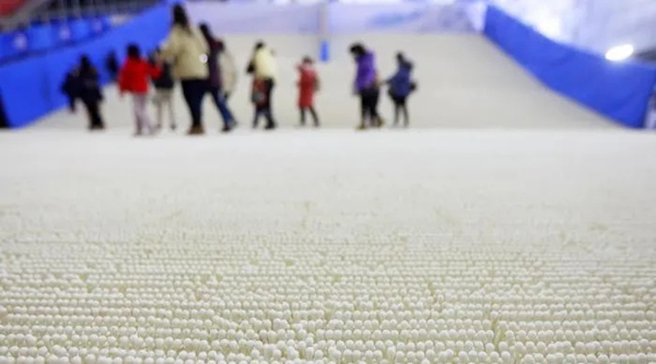 เมืองหนานจิงให้นักกีฬาทีมชาติฝึกซ้อมกีฬาหิมะบน“เห็ดเข็มทอง” ?