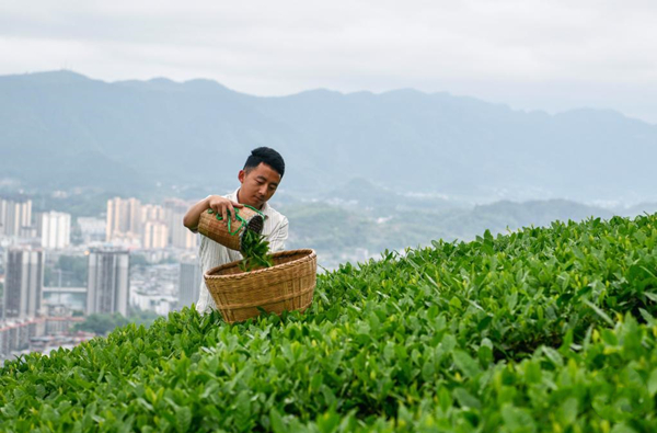 ความผูกพันระหว่างหนุ่มกุ้ยโจวกับวัฒนธรรมชา