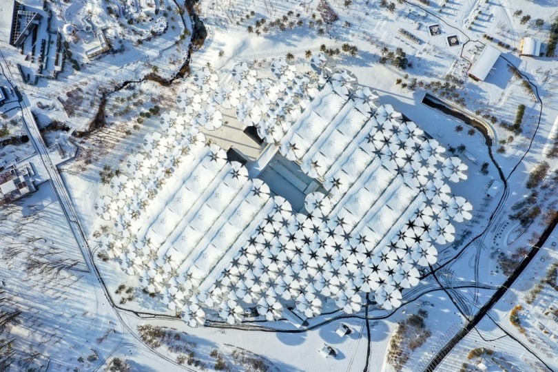 เรื่องที่น่าสนใจในปีขาล