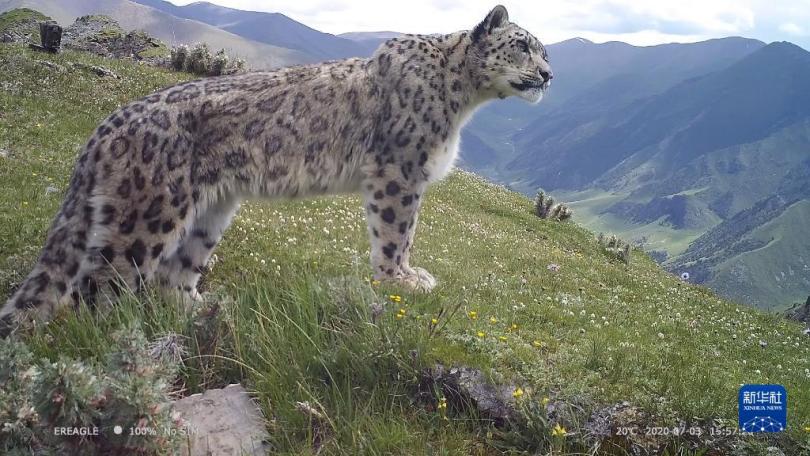 การอนุรักษ์สิ่งแวดล้อมทางนิเวศวิทยาของจีนมีผลงานโดดเด่น