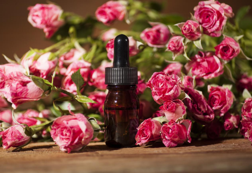 ความต่าง 3 พี่น้องกุหลาบในจีน