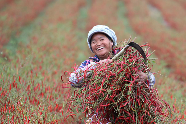 จีนส่งเสริมการพัฒนาโลกและความก้าวหน้าด้านสิทธิมนุษยชน