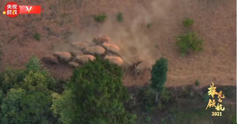 สารคดี“การนำทางที่ยอดเยี่ยม 2021”แสดงให้เห็นว่า จีนใช้แนวคิดการพัฒนาใหม่นำการพัฒนาของสังคมทั่วประเทศ