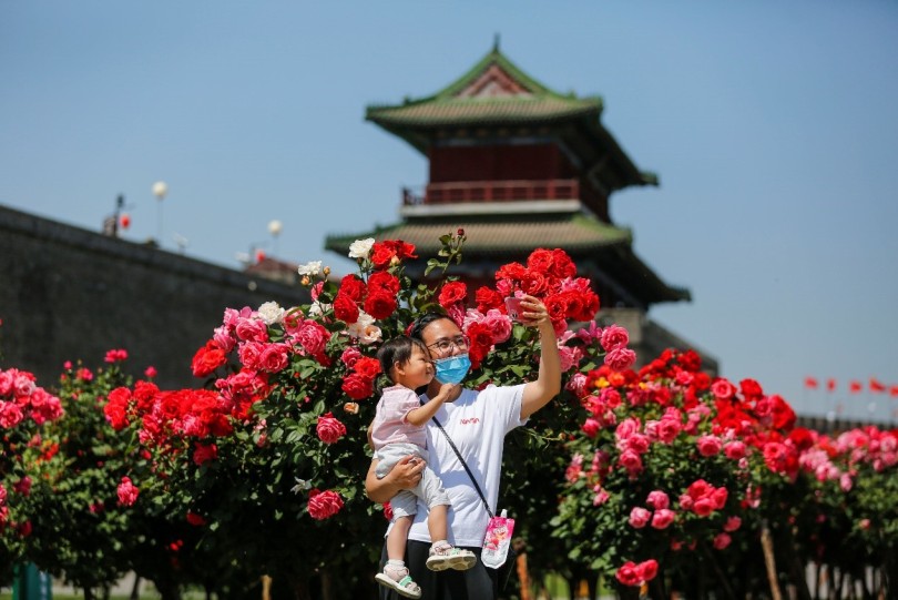 ดอกไม้บานสะพรั่งในช่วงต้นฤดูร้อนจีน