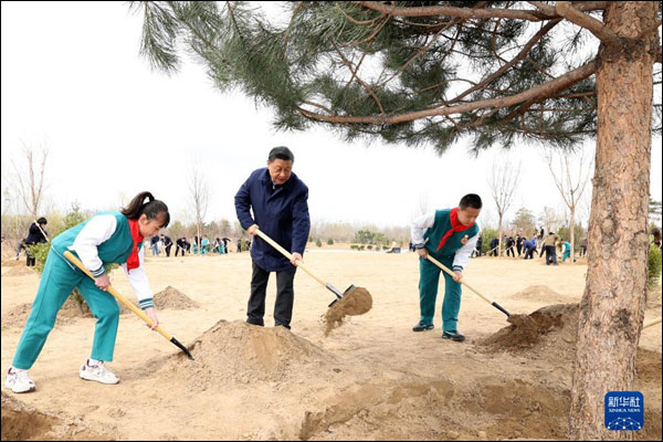 ปธน.จีนรณรงค์ปลูกต้นไม้ ยืนหยัดพัฒนาแบบสีเขียว