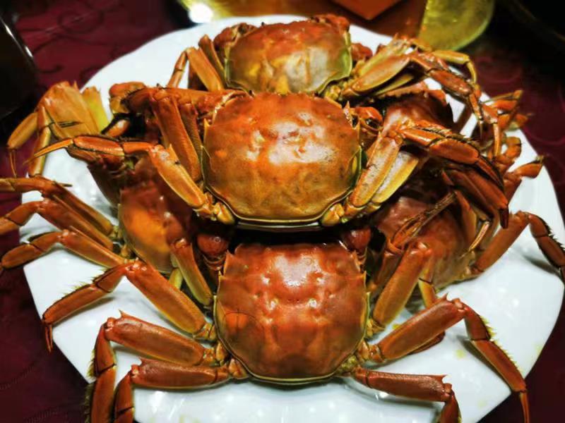 ทุ่งนากำลังสวย ปูนาโตเต็มวัยแล้ว