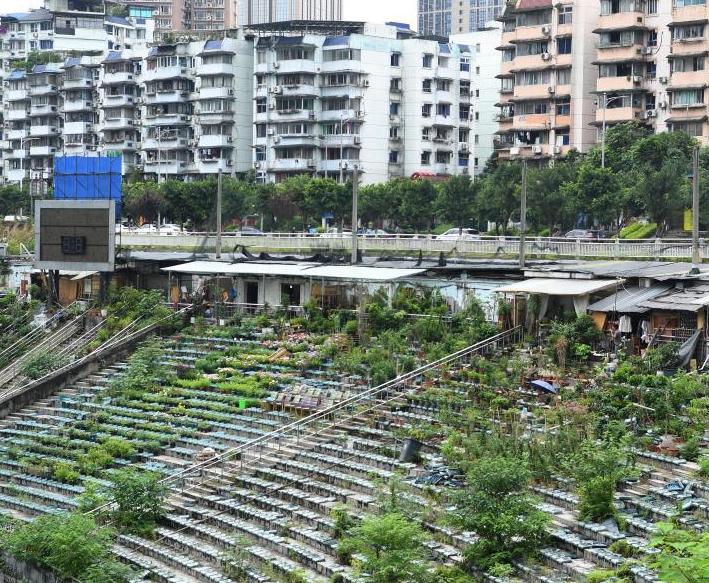 สนามกีฬาหยางเหอนครฉงชิ่งซบเซา