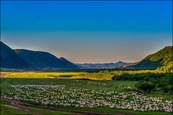 จีนมีมรดกวัฒนธรรมด้านการเกษตรสำคัญระดับโลกเพิ่มขึ้น 18 รายการ ครองอันดับ 1 ของโลก