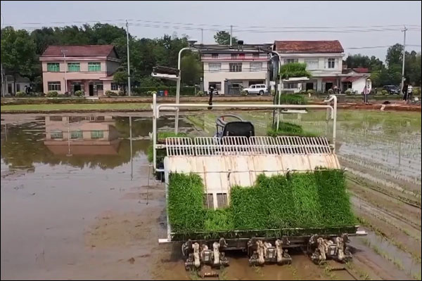 พื้นที่ต่าง ๆ ทั่วจีนเร่งเพาะปลูกฤดูใบไม้ผลิ