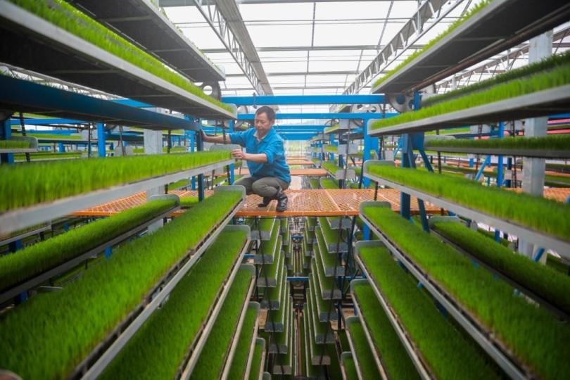 สัมผัสความงามของตัวเลขในการทำนา