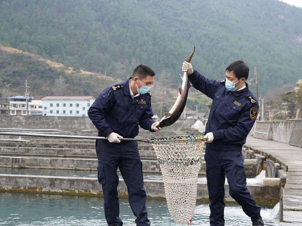 นครฉงชิ่งส่งออกปลาเป็นไปยังประเทศอาเซียนครั้งแรก
