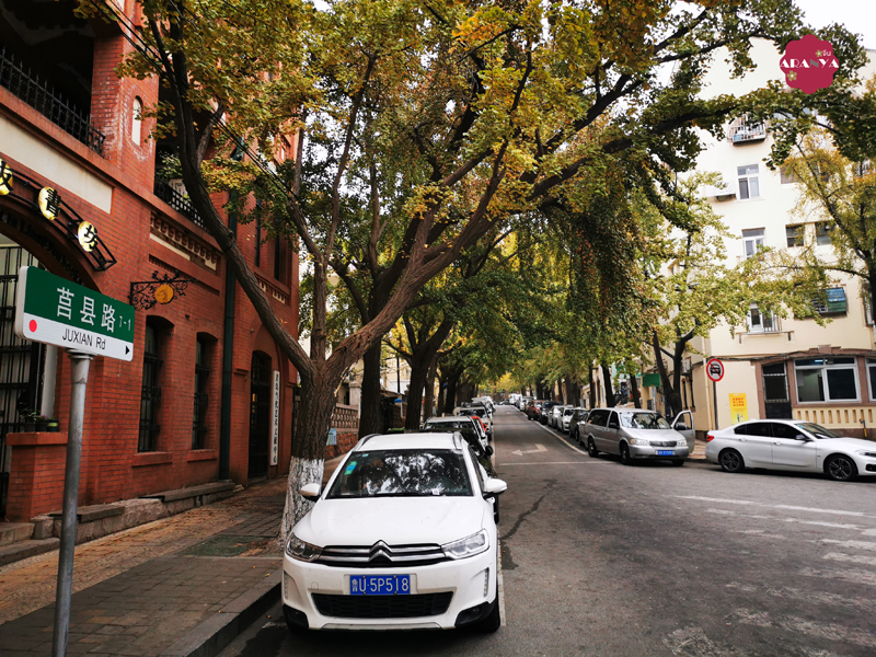 "ปาต้ากวน” แหล่งท่องเที่ยวที่มีชื่อเสียงแห่งหนึ่งของเมืองชิงเต่า