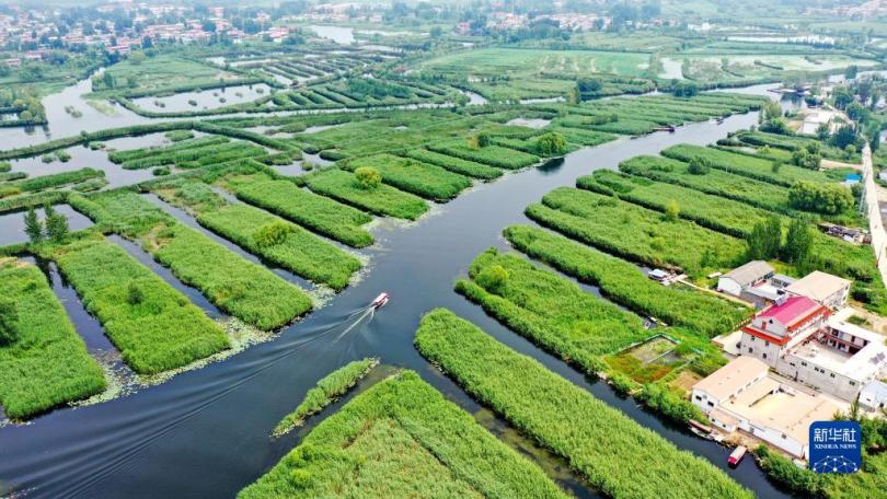 การอนุรักษ์สิ่งแวดล้อมทางนิเวศวิทยาของจีนมีผลงานโดดเด่น