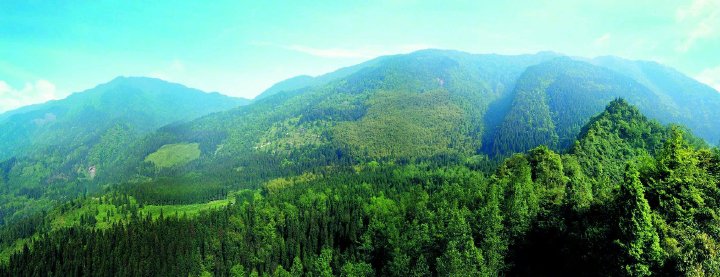 สีเขียวของมณฑลเสฉวน