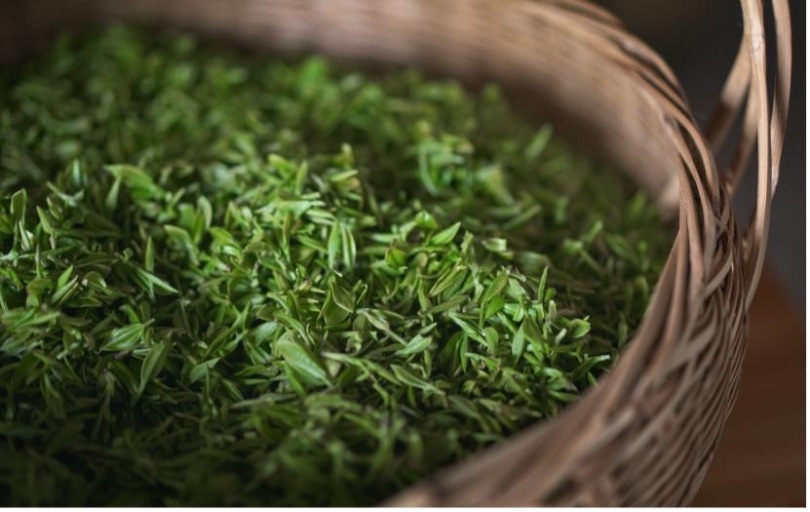 ชาจีนกลิ่นหอมกระจายทั่วโลก