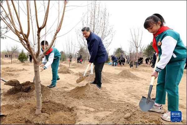ปธน.จีนรณรงค์ปลูกต้นไม้ ยืนหยัดพัฒนาแบบสีเขียว