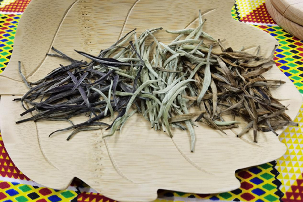 ของดีเอเชีย-แอฟริกาแห่เข้า CIIE หวัง“แตกกิ่งออกใบ”ในจีน